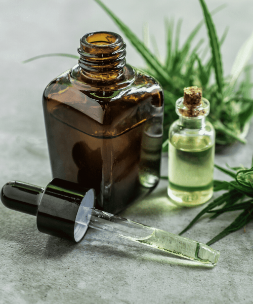 CBD-oil-plant-medicine-quiz.png