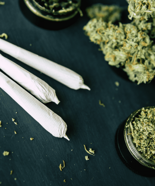 cannabis-joints-plant-medicine-quiz.png