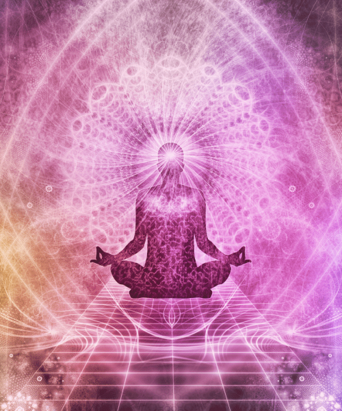psilocybin-mushrooms-plant-medicine-quiz.png